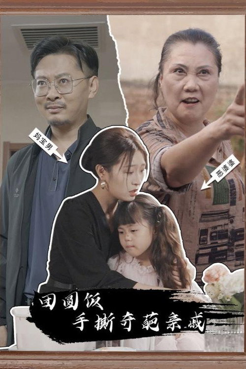 团圆饭手撕奇葩亲戚电影海报