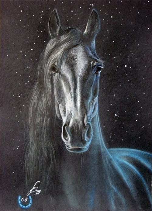 Mustang Pacer Poster