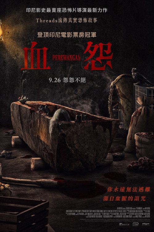 魔镜咒电影海报