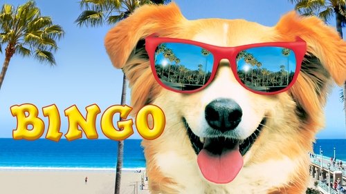 Bingo Bingo movie poster