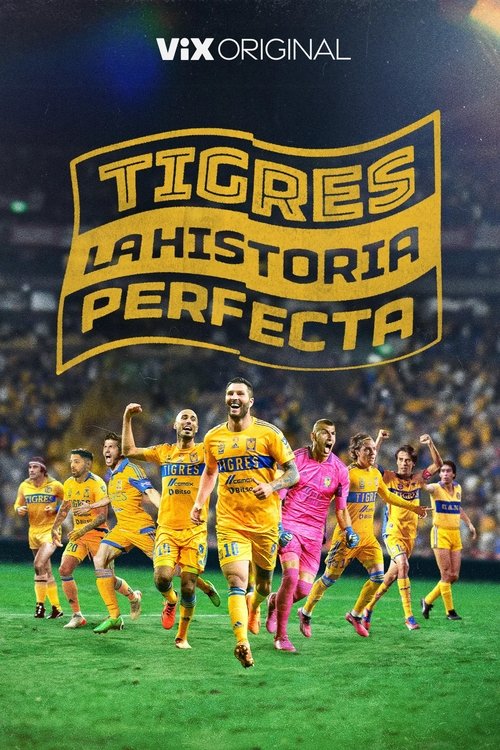 Poster of Tigres: La historia perfecta