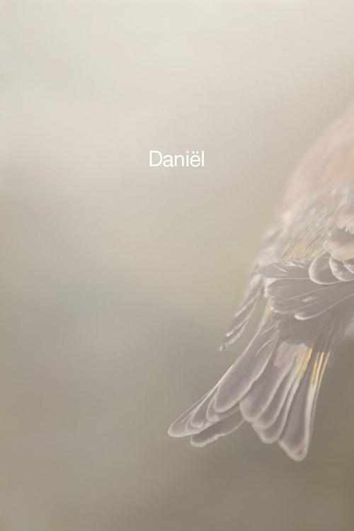 Daniël Poster