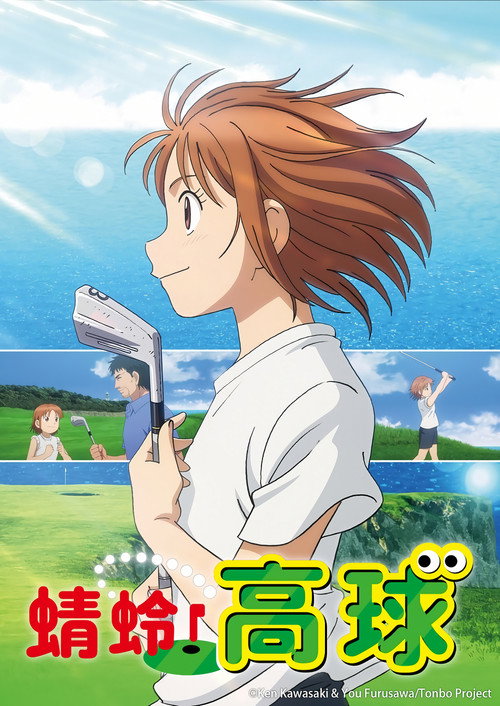 蜻蛉高球电影海报