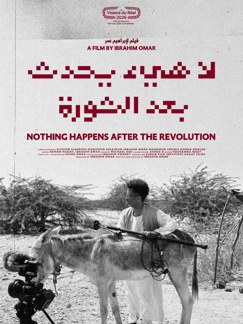 Nothing Happens After the Revolution