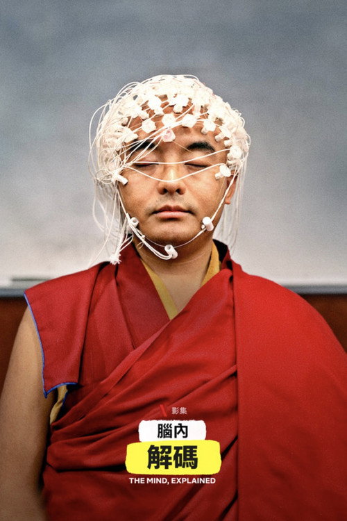 头脑解密电影海报