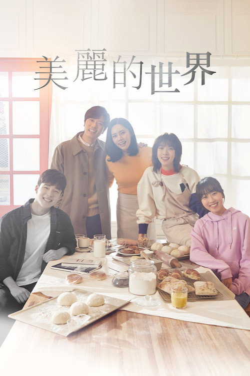 美丽的世界电影海报