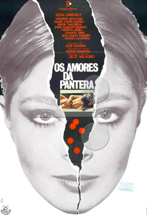 Os Amores da Pantera poster 2