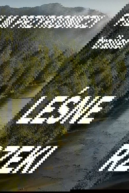 Leśne rzeki Poster