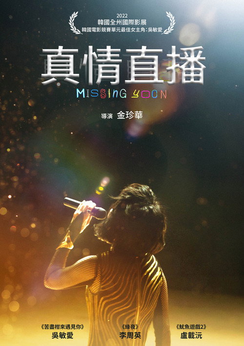 尹诗内失踪了电影海报