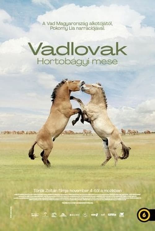 Wild Horses - A Tale From The Puszta