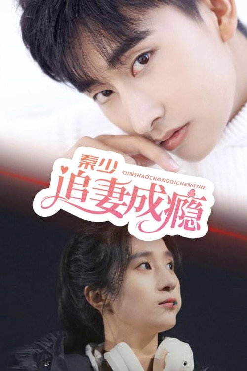 秦少追妻成瘾电影海报