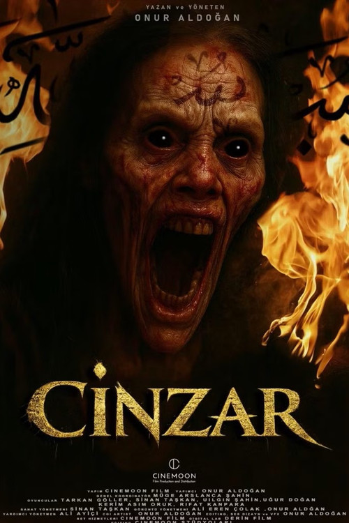 Cinzar's poster