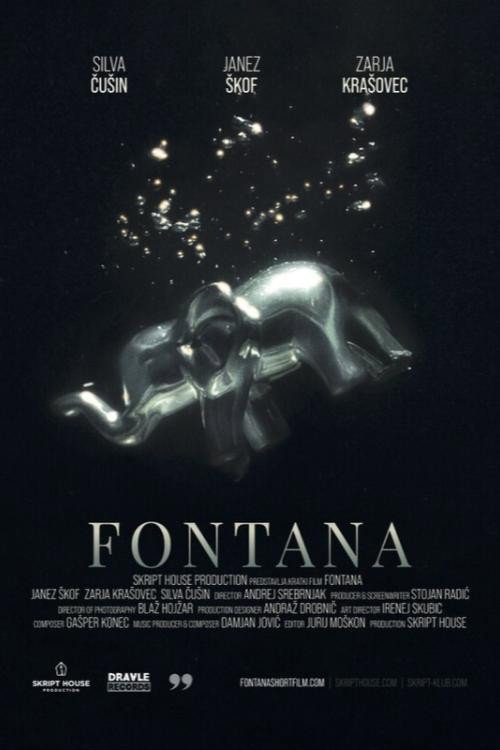 The Fountain Poster