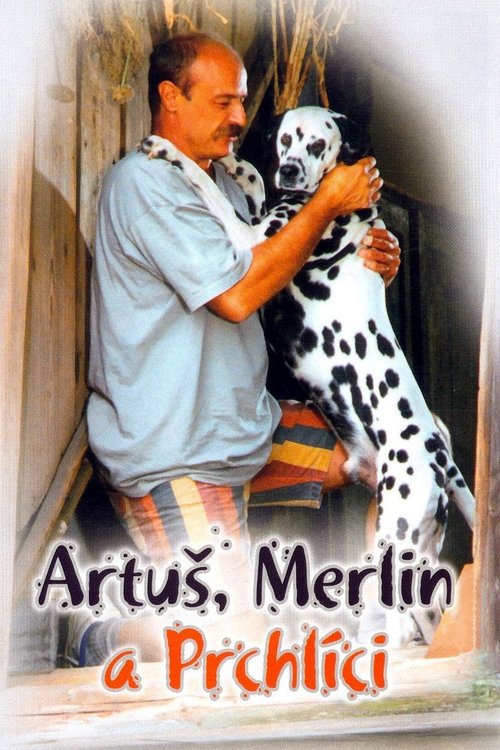 Artuš, Merlin a Prchlíkovci