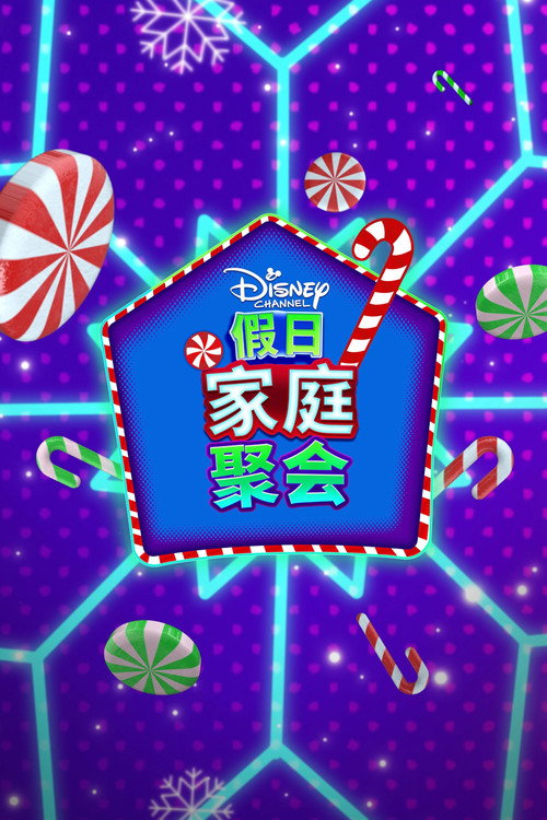 Disney Channel Holiday House Party电影海报