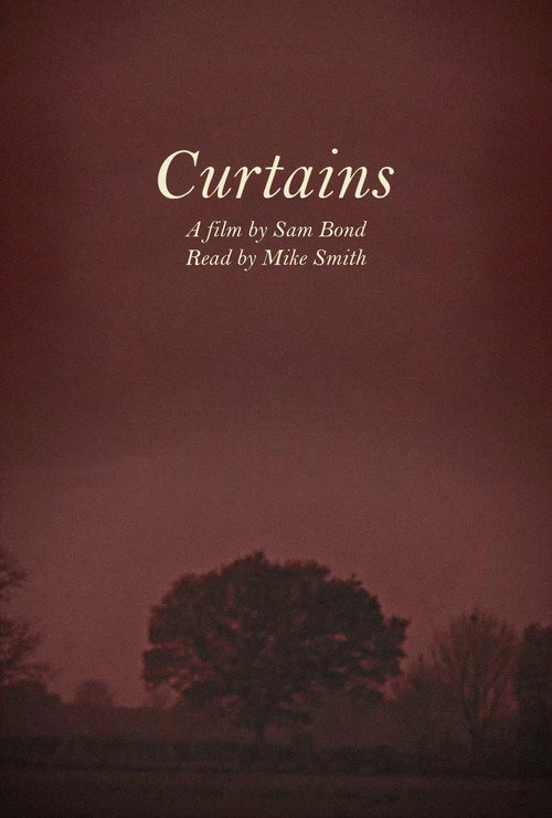 Curtains电影海报