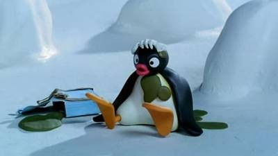 Pingu - 19. Bölüm