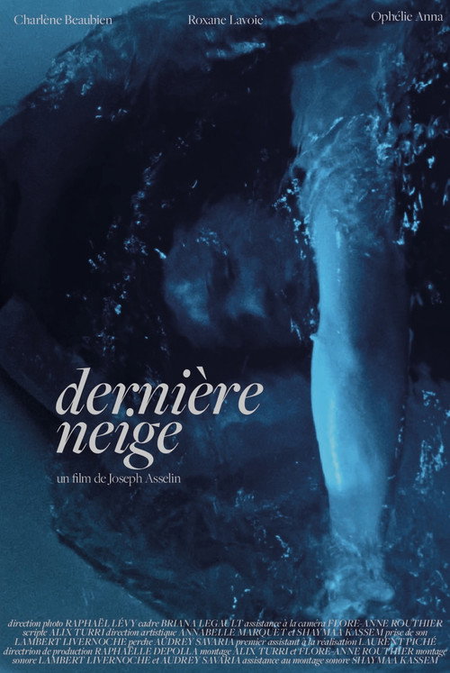 Dernière neige poster 2