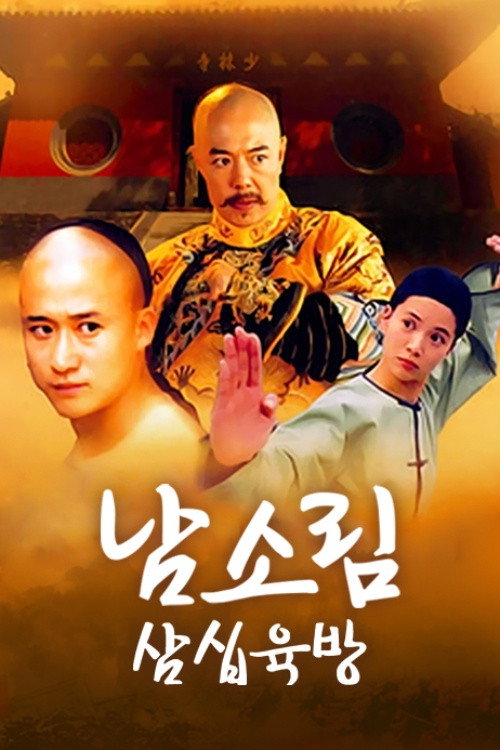 36th Chamber of Southern Shaolin poster 3