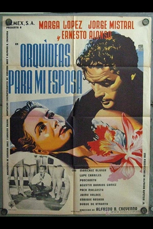 Orquídeas para mi esposa poster 2