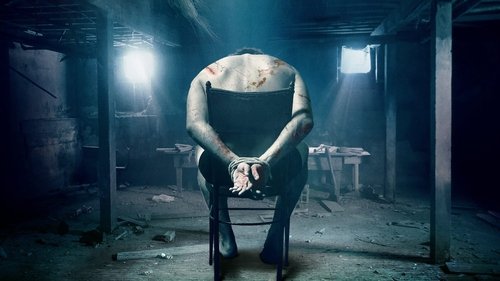 The Basement (2018) Watch Full Movie Streaming Online