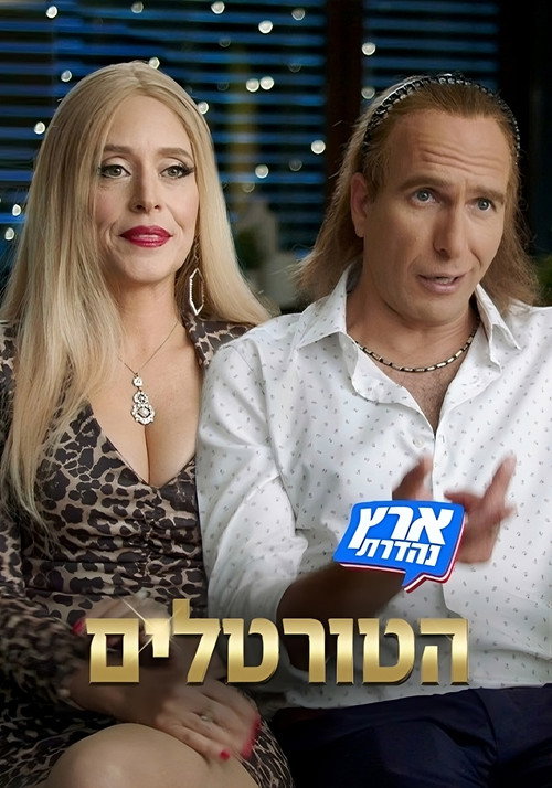 הטורטלים电影海报