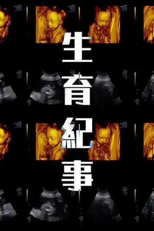 生育纪事电影海报