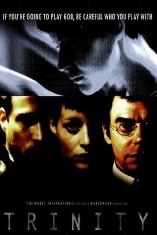 Trinity (2003) PelículA CompletA 1080p en LATINO espanol Latino