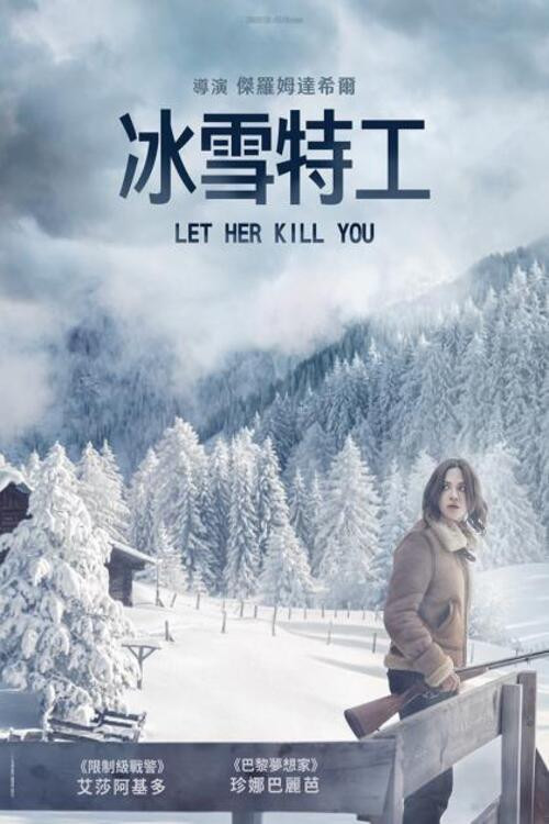 冰雪特工电影海报