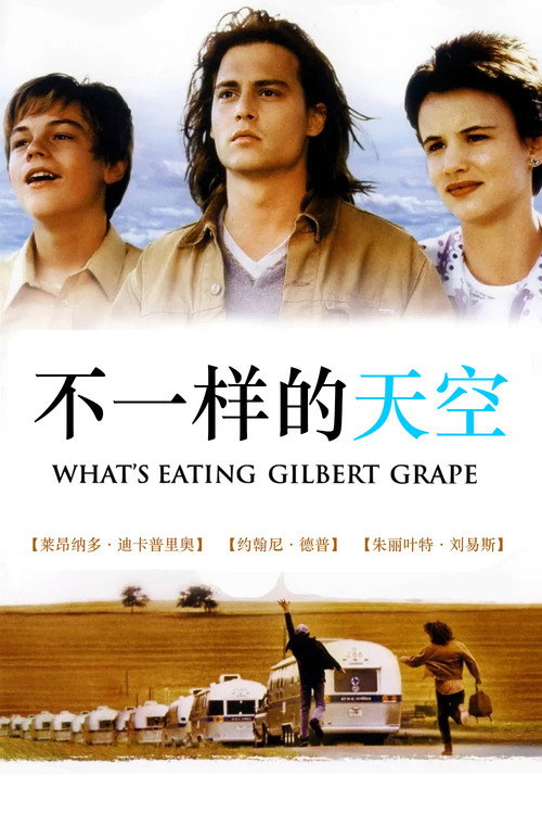 不一样的天空电影海报