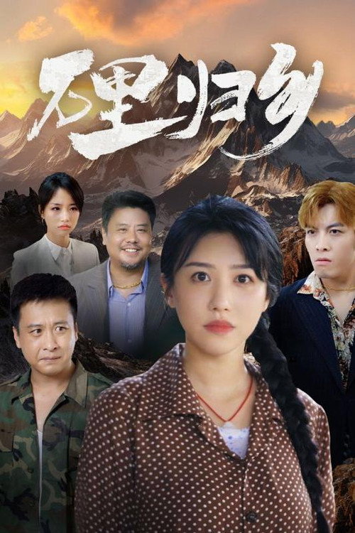 万里归乡电影海报