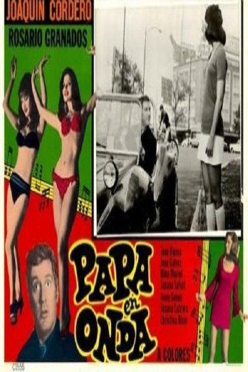 Cool Dad poster 3
