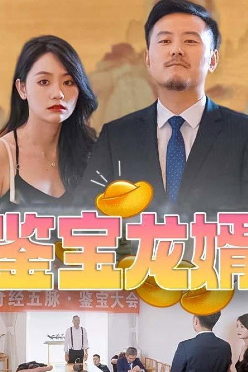 鉴宝龙婿电影海报