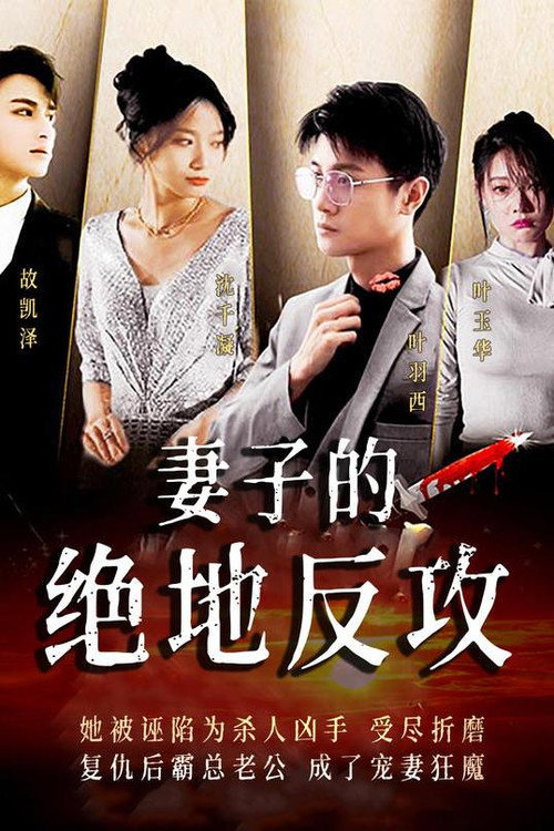 妻子的绝地反攻电影海报