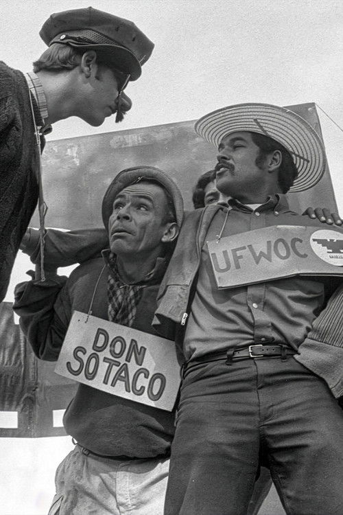 American Pachuco: The Legend of Luis Valdez