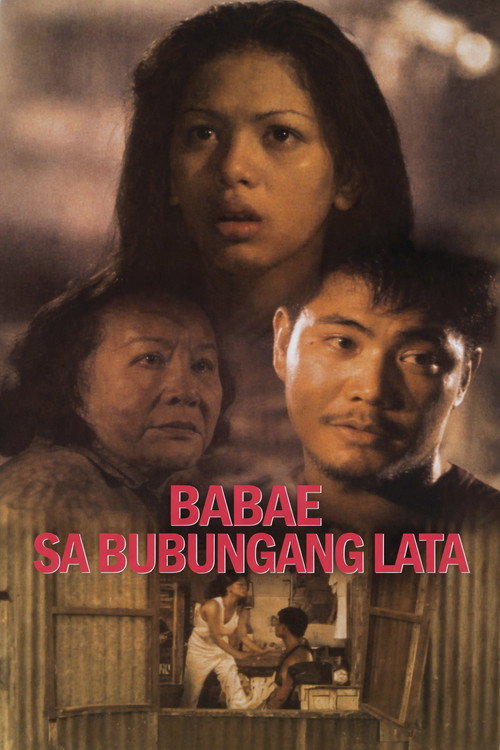 Woman on a Tin Roof poster 4