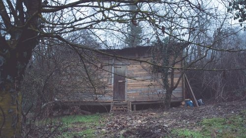image1