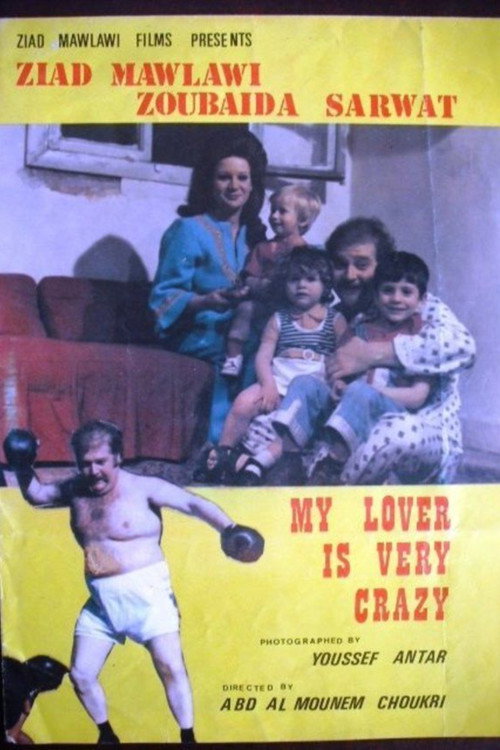 My Lover Is So Crazy poster 2