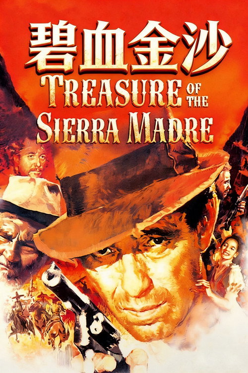 碧血金沙电影海报