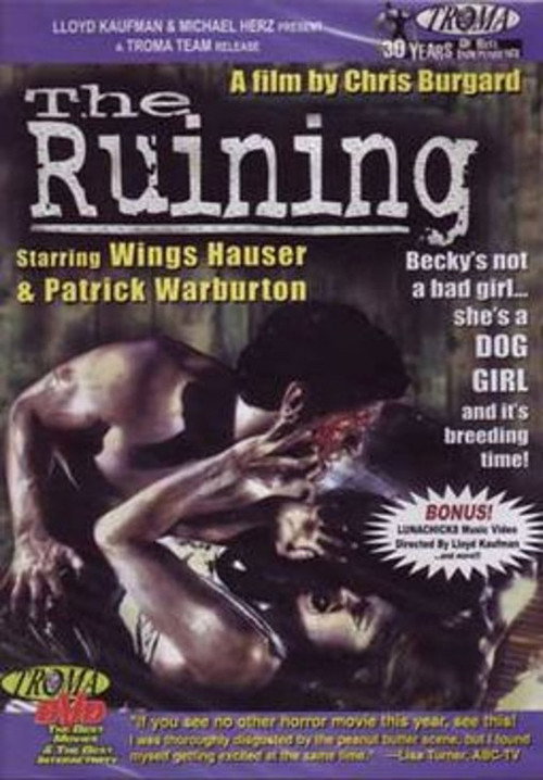 The Ruining poster 2