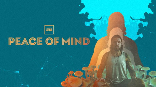 Peace of Mind