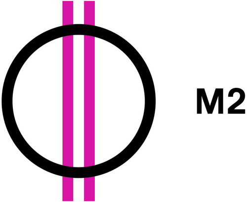 M2
