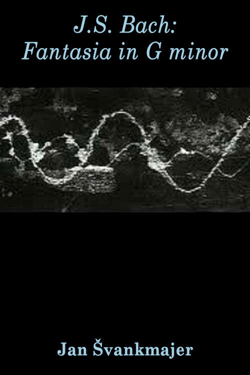 Poster for J.S. Bach: Fantasia in G…