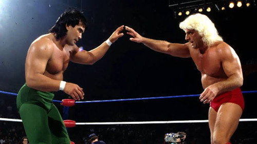 Ric Flair vs. Ricky "The Dragon" Steamboat