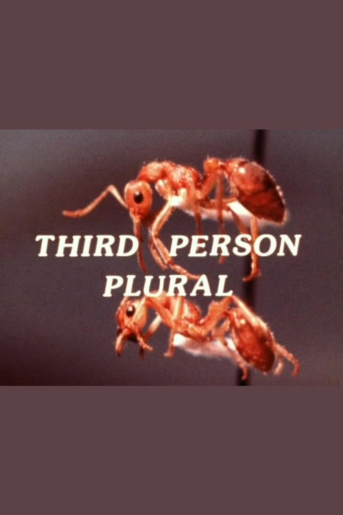 Third Person Plural poster 2