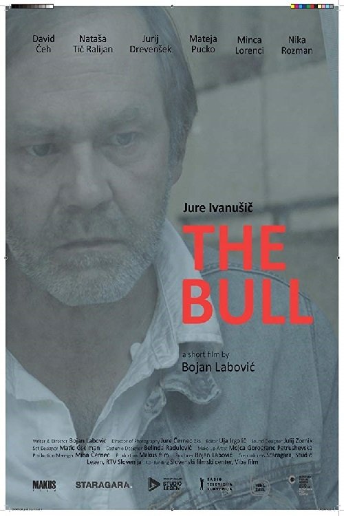 The Bull (2019) Koko elokuva
