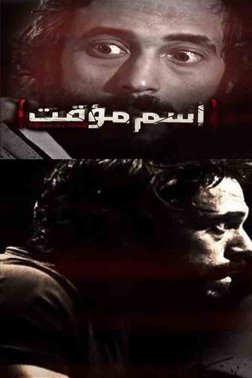 Temporary Name poster 2