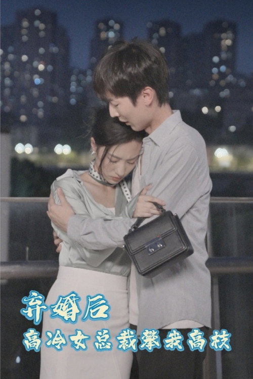 弃婚后，高冷女总裁攀我高枝电影海报