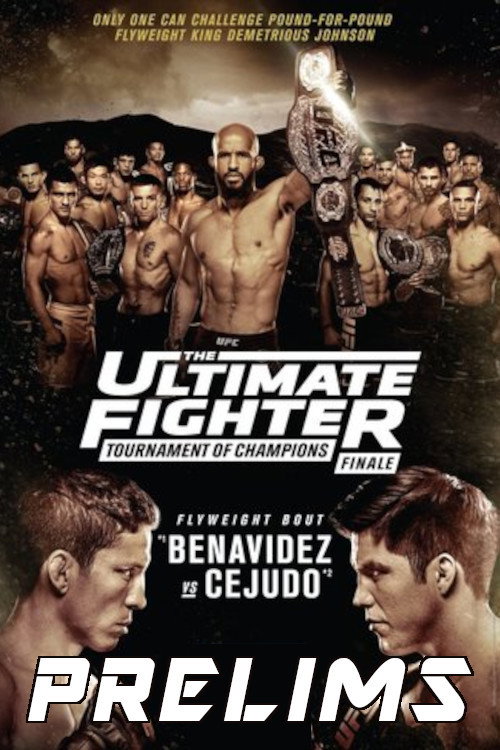 The Ultimate Fighter 24 Finale poster 2