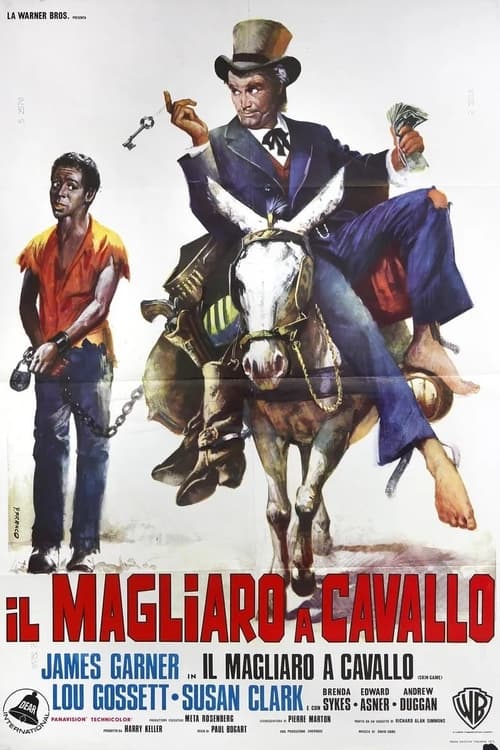 Il+magliaro+a+cavallo